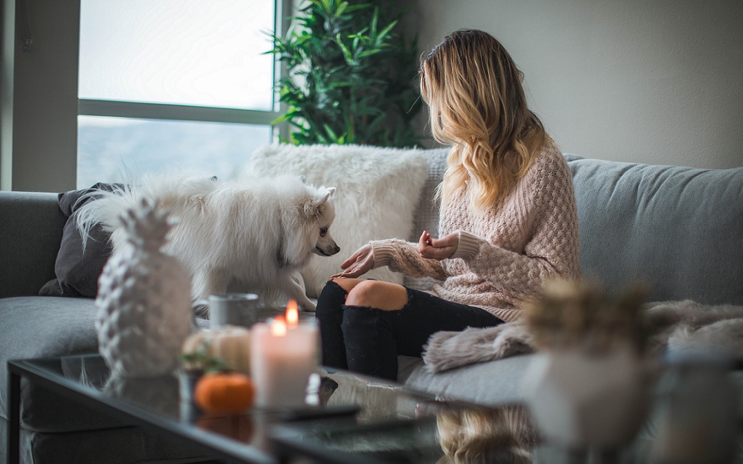 Eine Frau sitzt auf einem grauen Sofa und füttert ihren Hund, der auf dem Sofa steht. Im Hintergrund ist eine grüne Zimmerpflanze zu sehen.